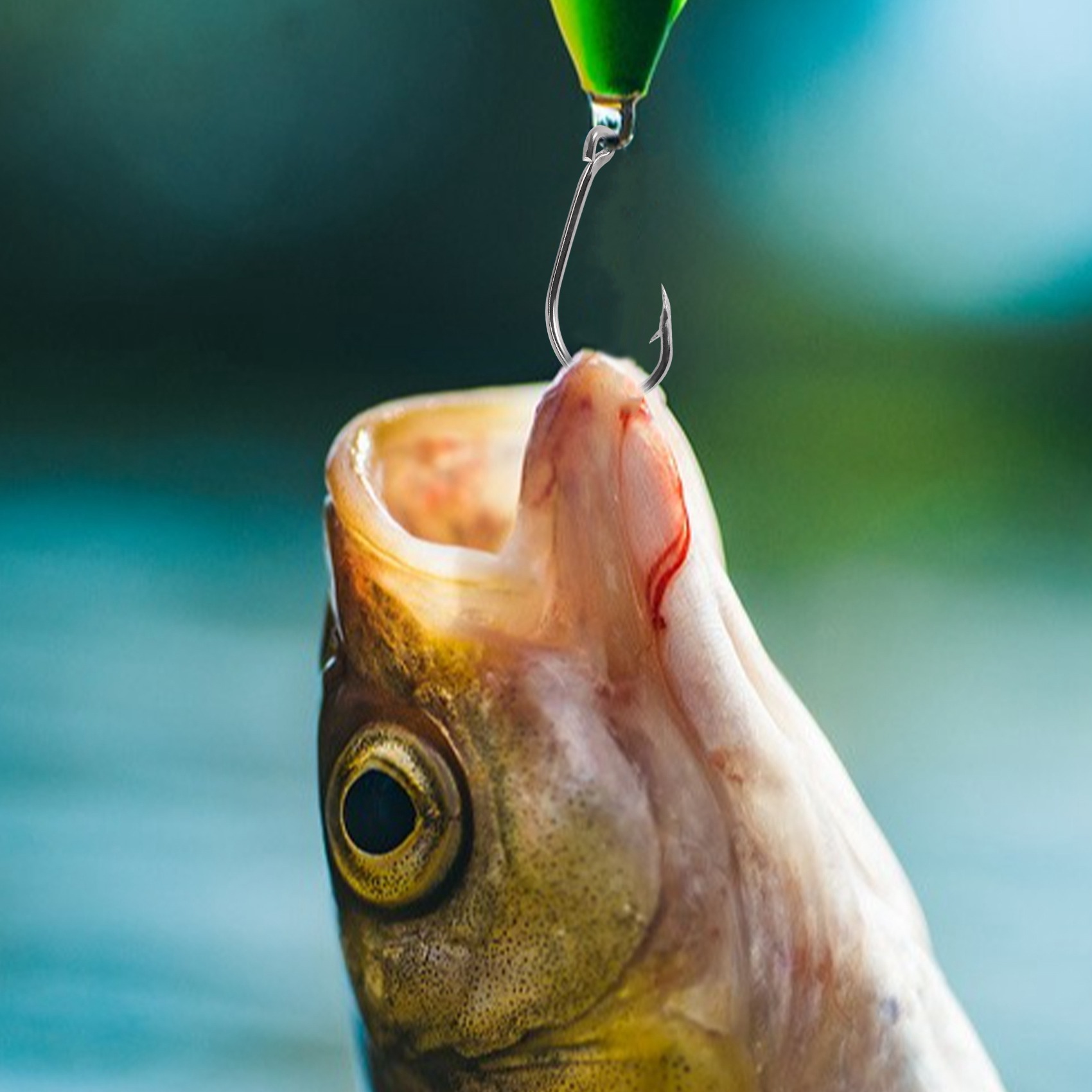 Nueva llegada 500 piezas/set d - Fishing Hook Size reseña y precio